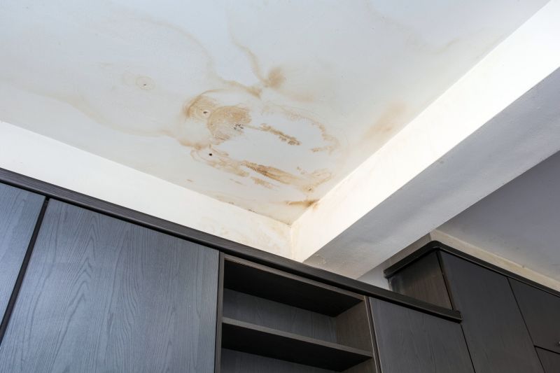 Leaking Ceiling Repair in Charleston, SC